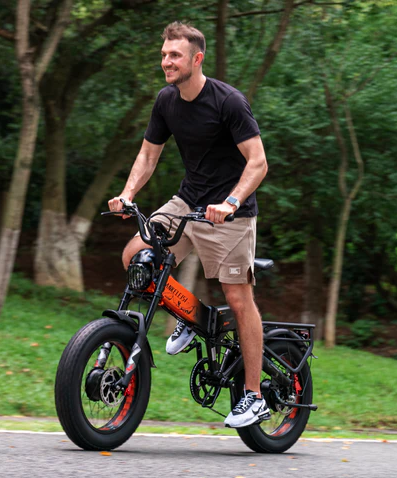 Dual Motor E-Bikes