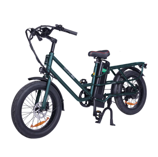500W Cargo-Ready City E-Bike